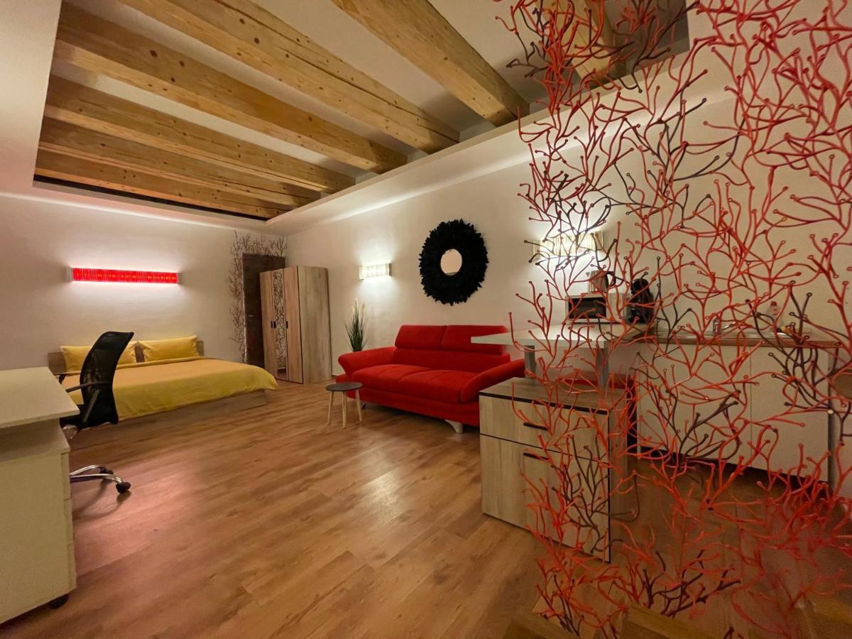 New Workspace Studio Savoya9 Self Check In Old City Center Тимишоара Экстерьер фото